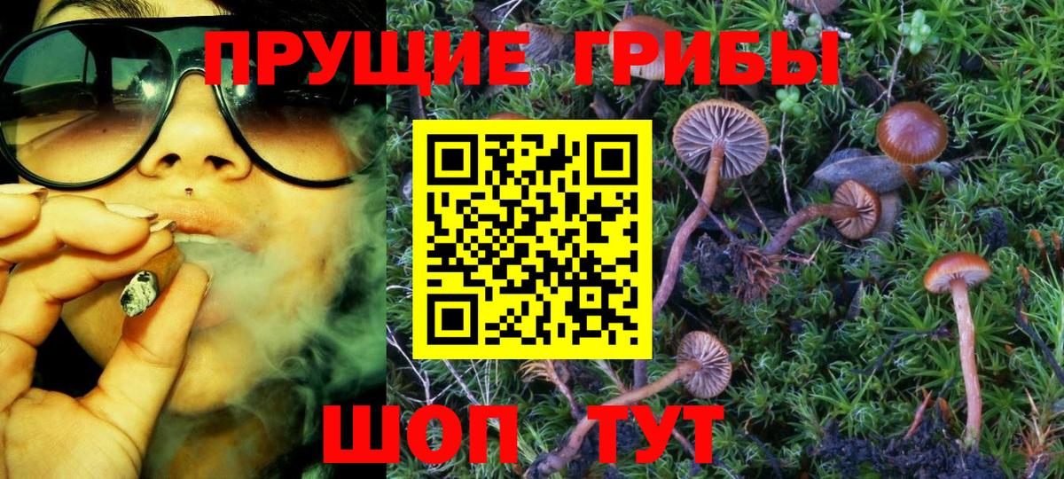 Минеральные Воды  Псилоцибиновые грибы Psilocybine cubensis  Вход с VPN  Псилоцибиновые грибы GOLDEN TEACHER 